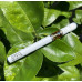Bubblegum OG CBD Vape - 500mg 